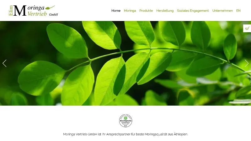 Moringa Vertrieb GmbH - Moringa - Ein wunderbarer Baum!